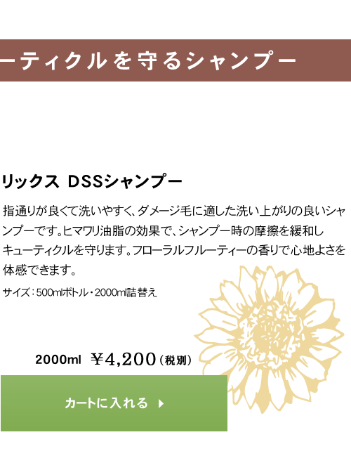 リックス　DSS　シャンプー　2000ml