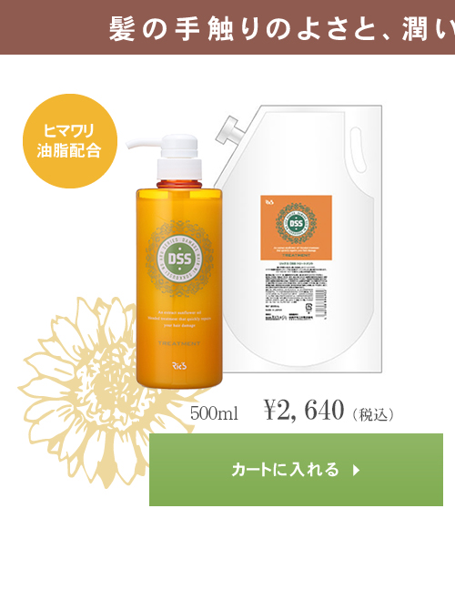 リックス　DSS　トリートメント　500ml