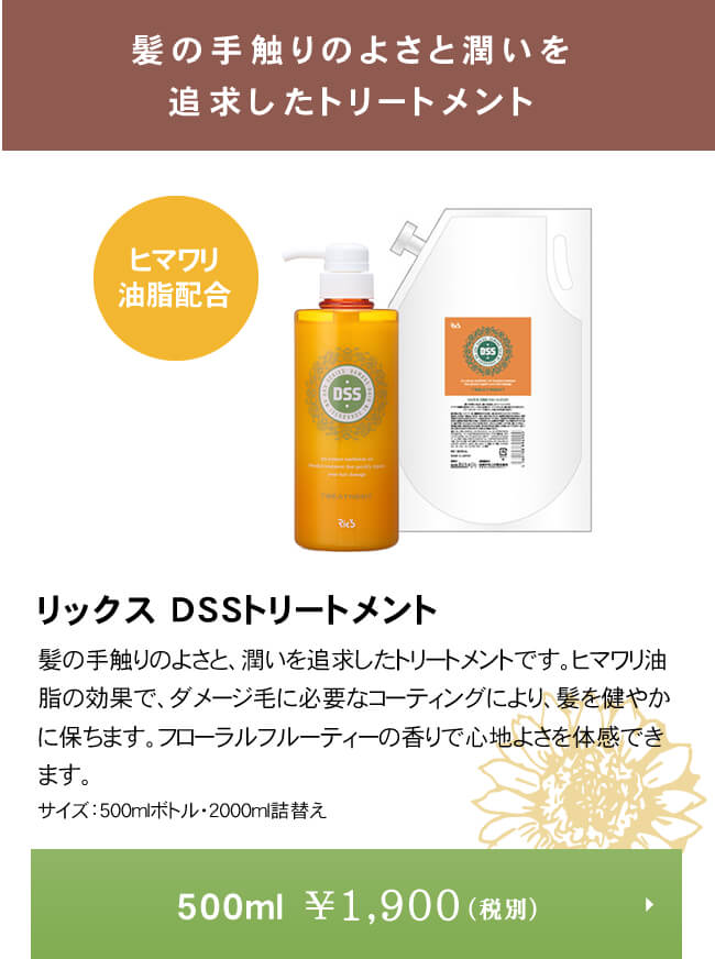リックス　DSS