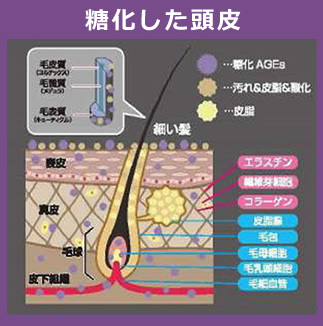 糖化した頭皮